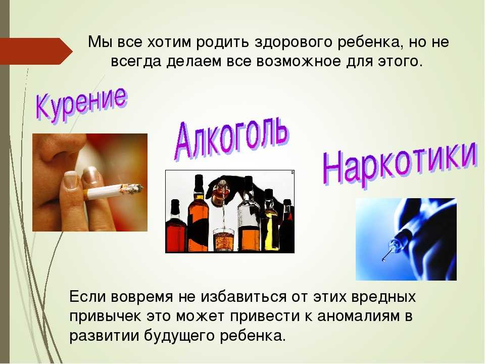 Екатерина климова — биография, личная жизнь, новости, фото, фильмы, мужья, актриса, дети, «инстаграм» 2021