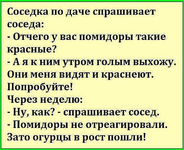 К чему может сниться ссора с родственниками, друзьями