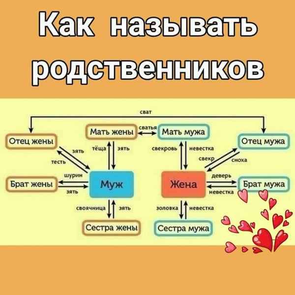 Сонник тёща: к чему снится и что означает сон?