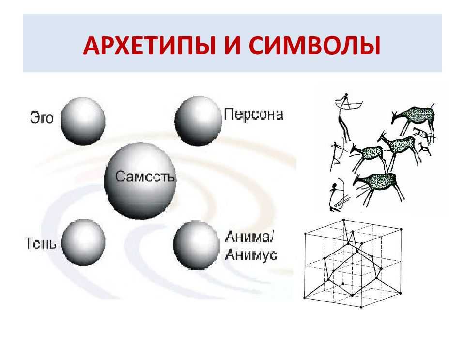 Физиология женского организма в разные периоды жизни