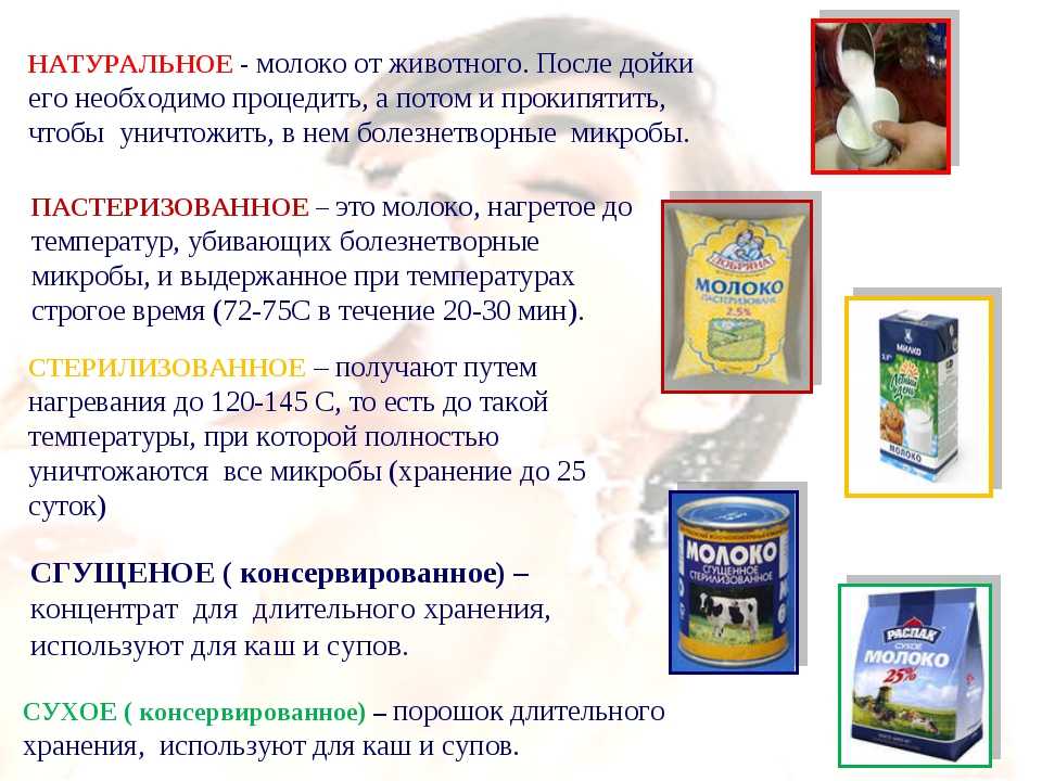 Как сохранить молочные продукты максимально долго свежими