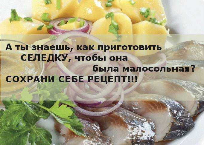 Как выбрать селедку к праздничному столу | simpleslim
