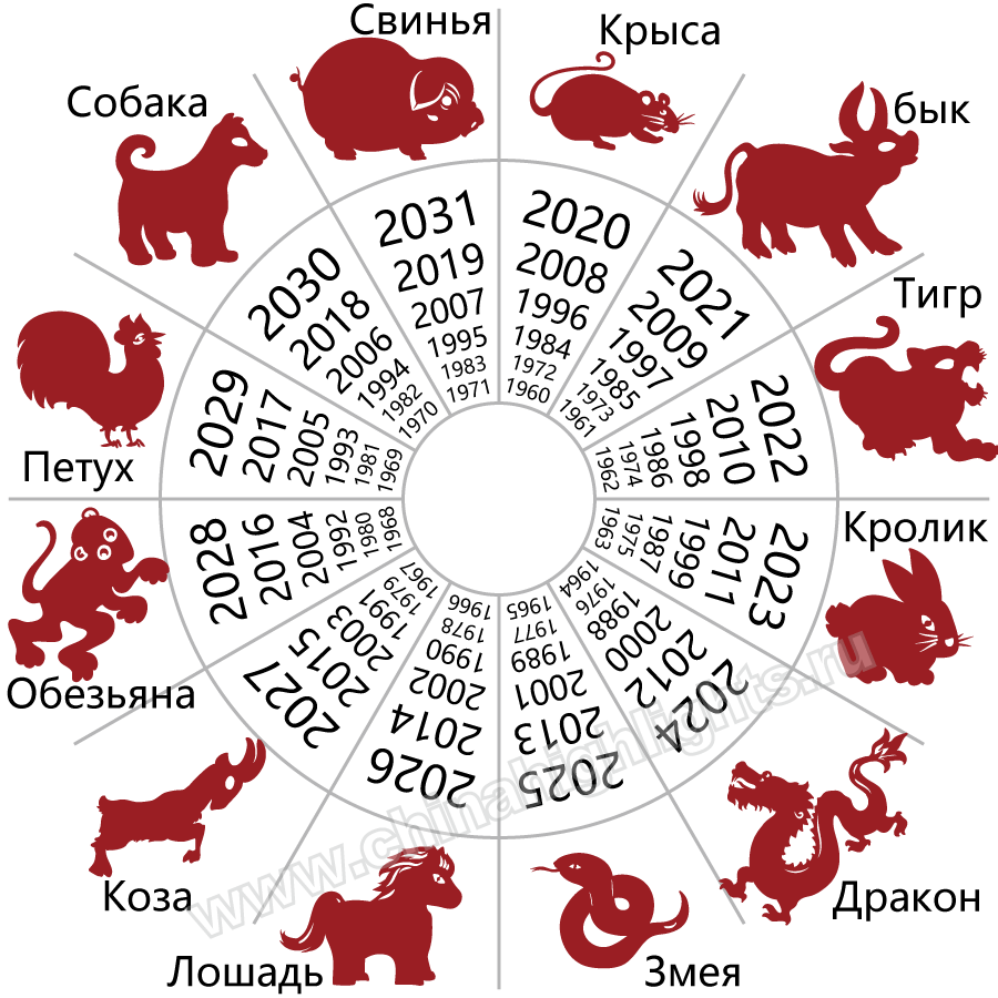 Гороскоп на 2022 год тигр: что ждет тигров в 2022 году?