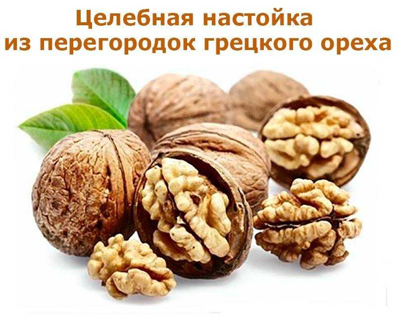 К чему снятся грецкие орехи - толкование сна по сонникам
