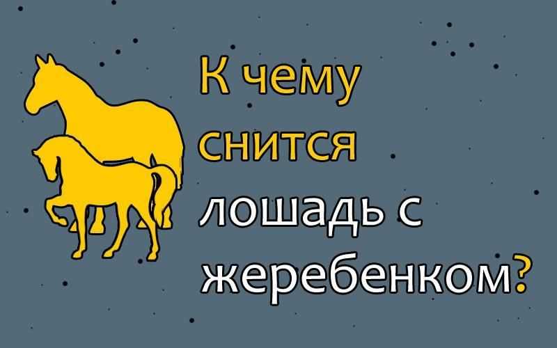 К чему снится лошадь: толкование сновидения сонниками миллера, ванги, менегетти и другими