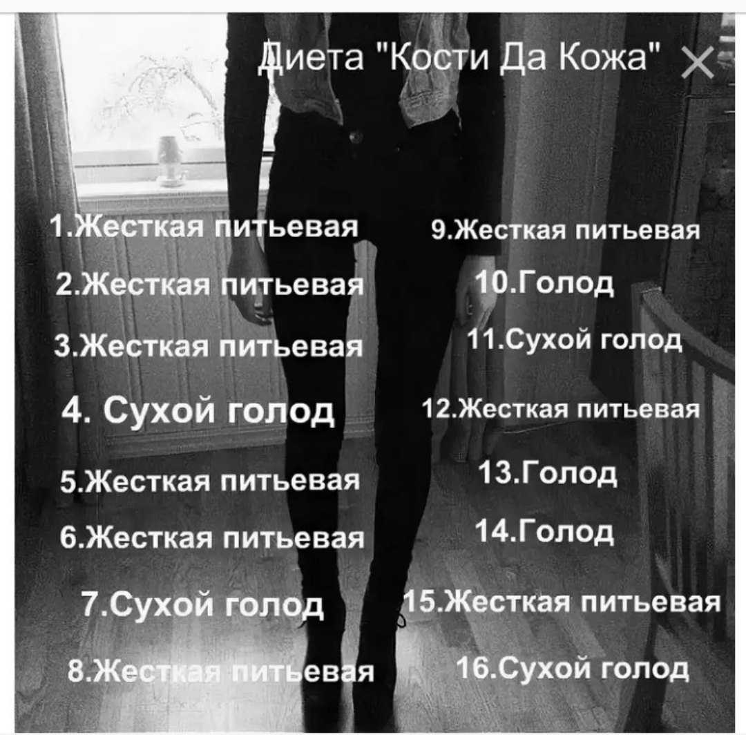 Диета анорексичек, подробное меню диеты анорексички новобранца (дан)