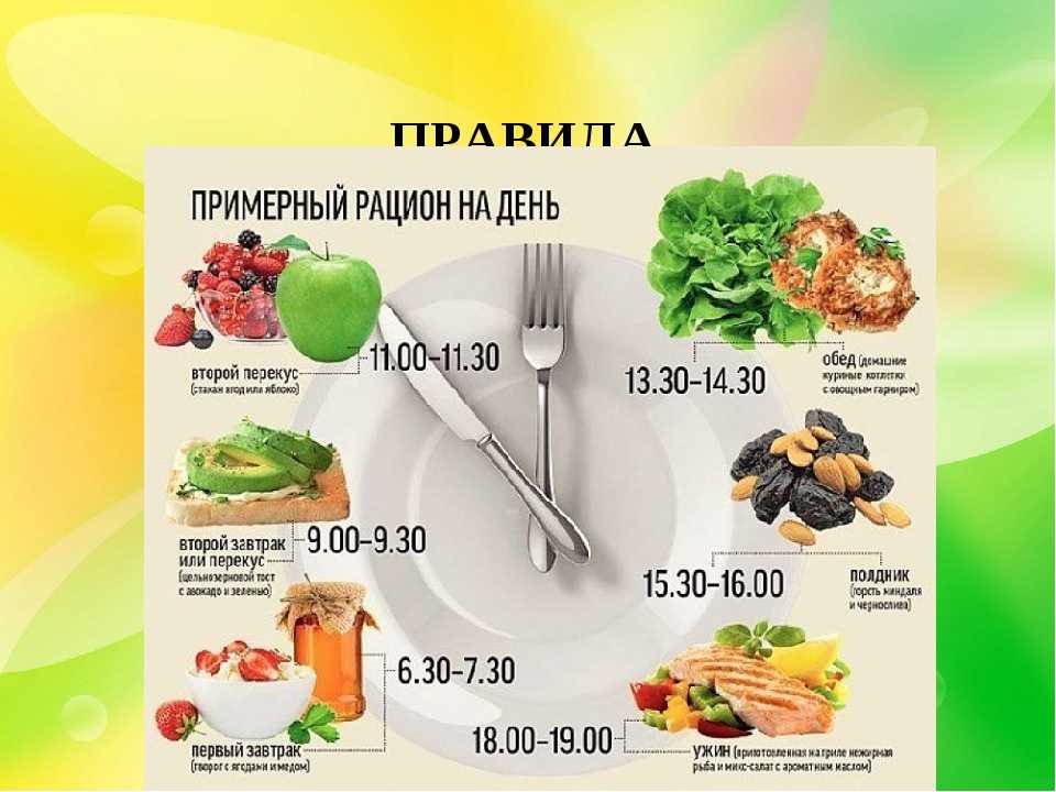 Яблоки: польза и вред для здоровья