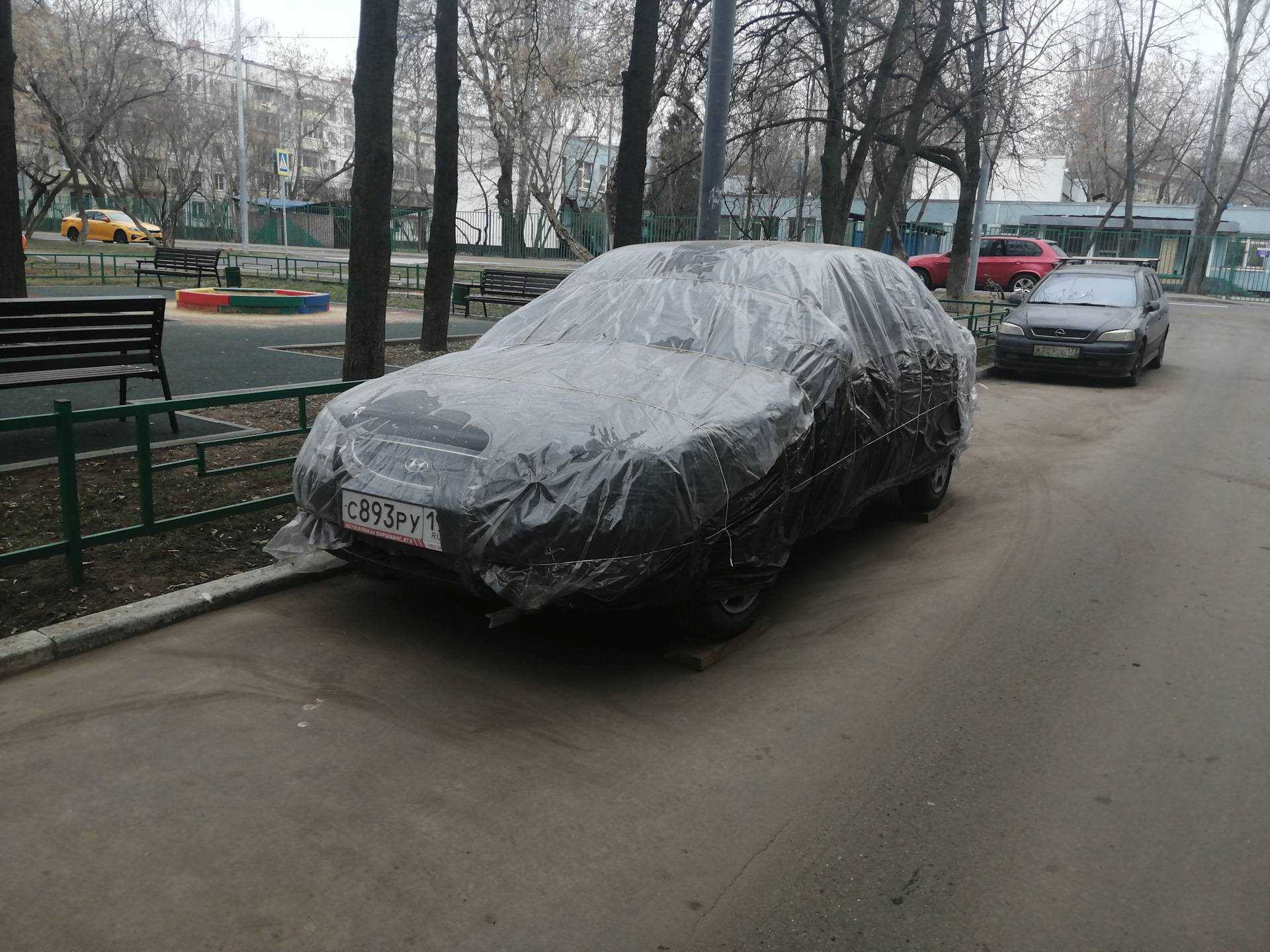 Нежные-подснежные. "подснежники в зале": почему многие люди приходят в "тренажерку" лишь по весне кто такие подснежники в тренажерном зале