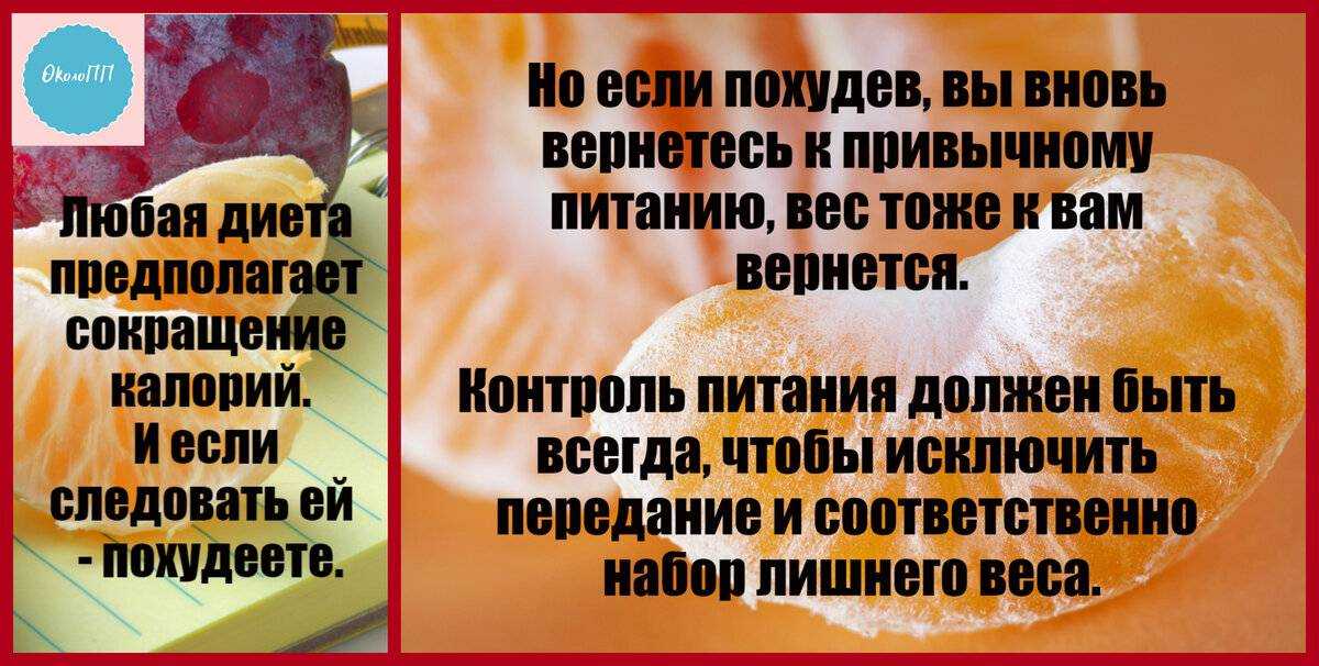 Срыв на диете дюкана – что делать после, как вернуться