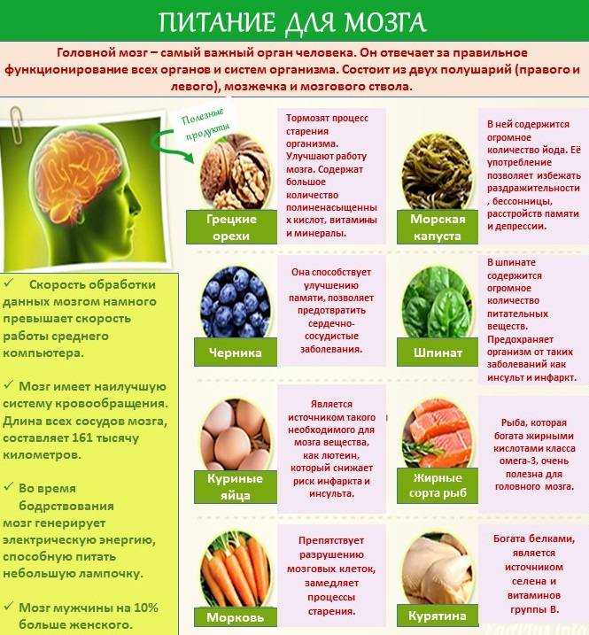 Как прокачать мозг и сдать экзамены лучше всех ⋆ maximum блог