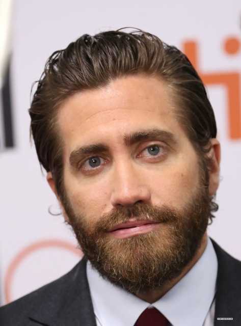 Джейк джилленхол (jake gyllenhaal) - новости, фото, биография, обои