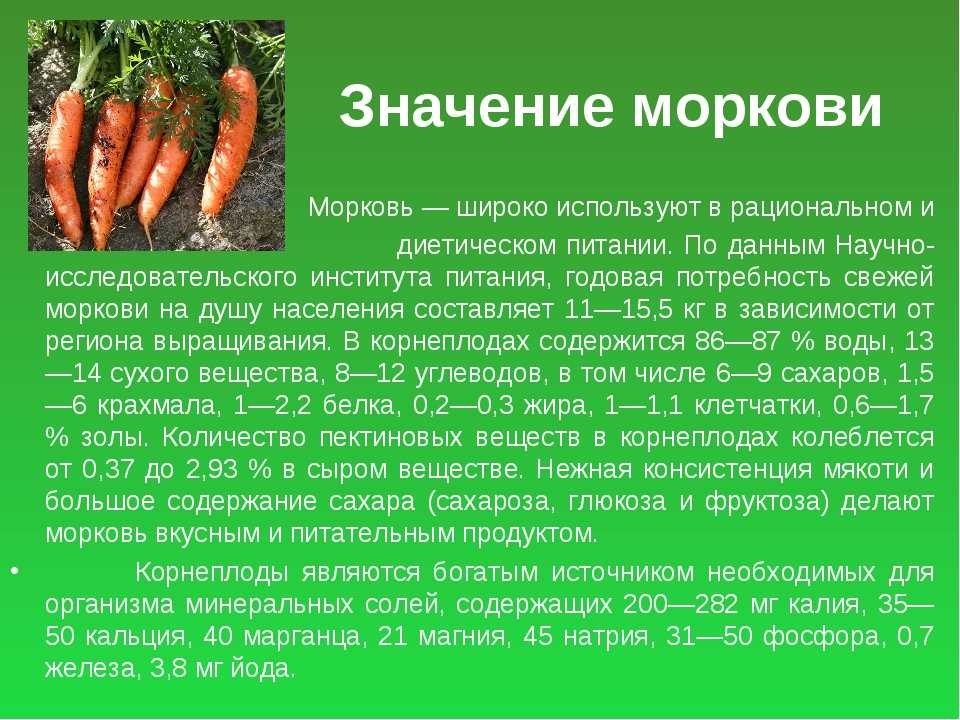 К чему снится картошка: сырая или жареная, окучивать картошку? основные толкования разных сонников - к чему снится картошка - автор екатерина данилова - журнал женское мнение