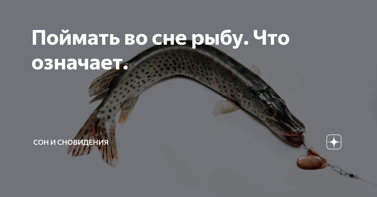 К чему снится ловить рыбу во сне — толкование для женщины