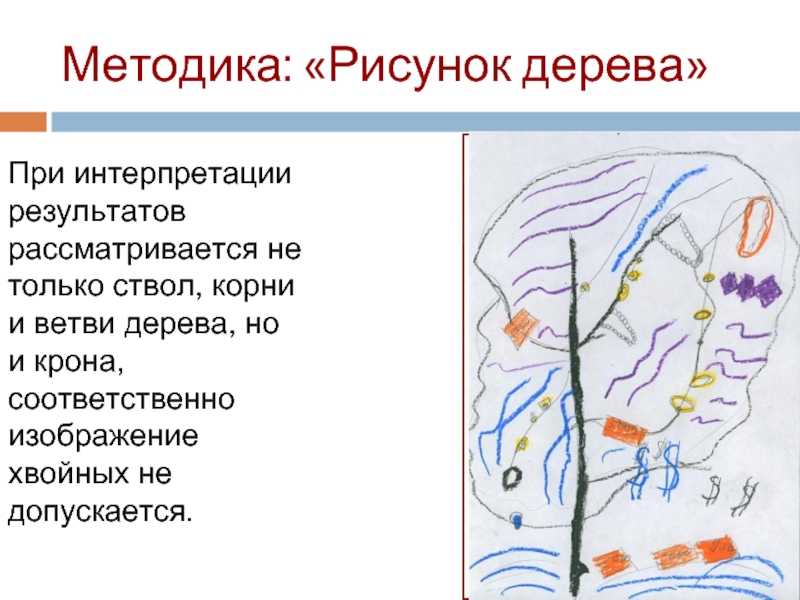Тест «дерево» коха и его значение в педагогике - методика «дерево» (к. кох)