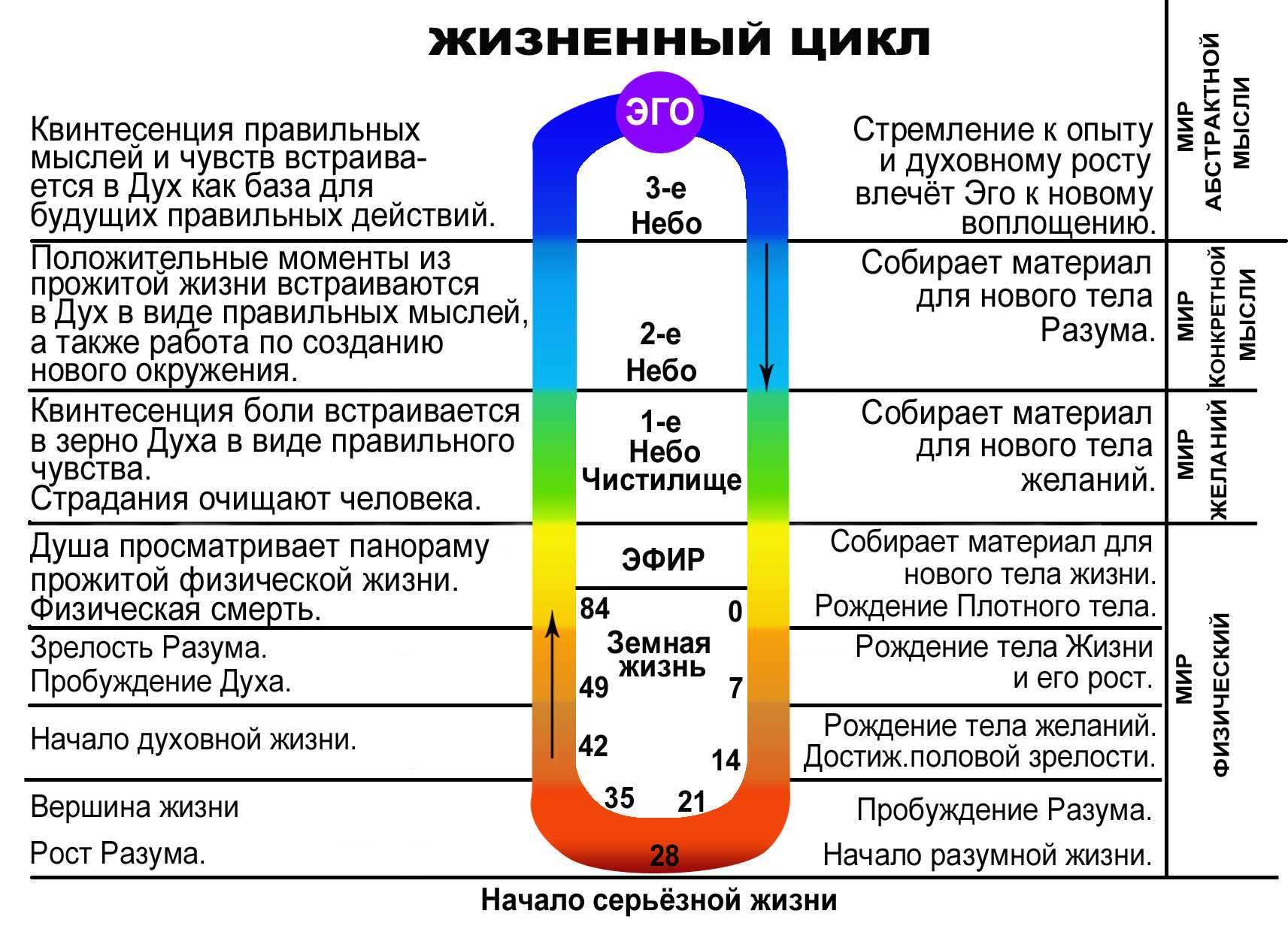 Возраст человека: 12 таинственных зодиакальных этапов. а на каком вы?  :: инфониак