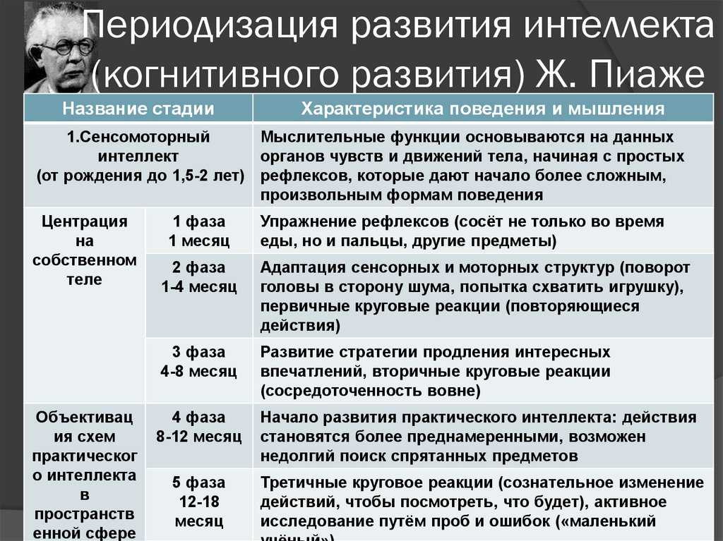 Когнитивное развитие: теория, этапы и примеры