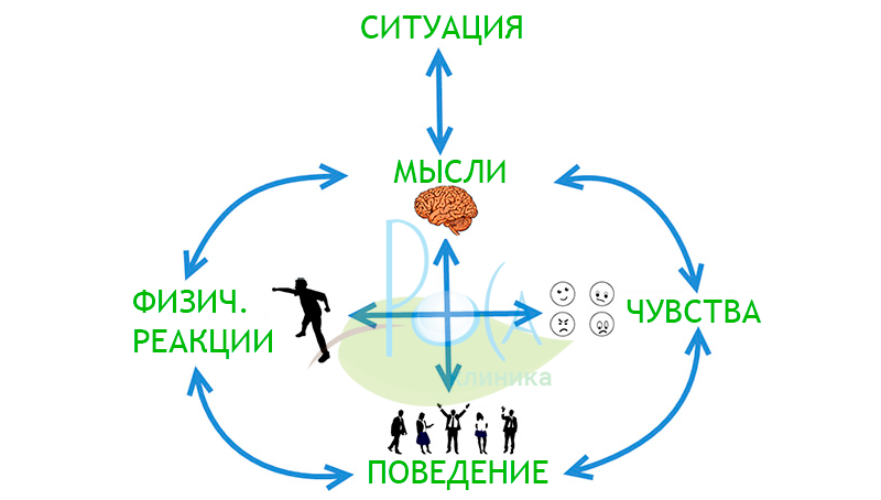 Что такое когнитивная карта, и как ее построить? - блог викиум