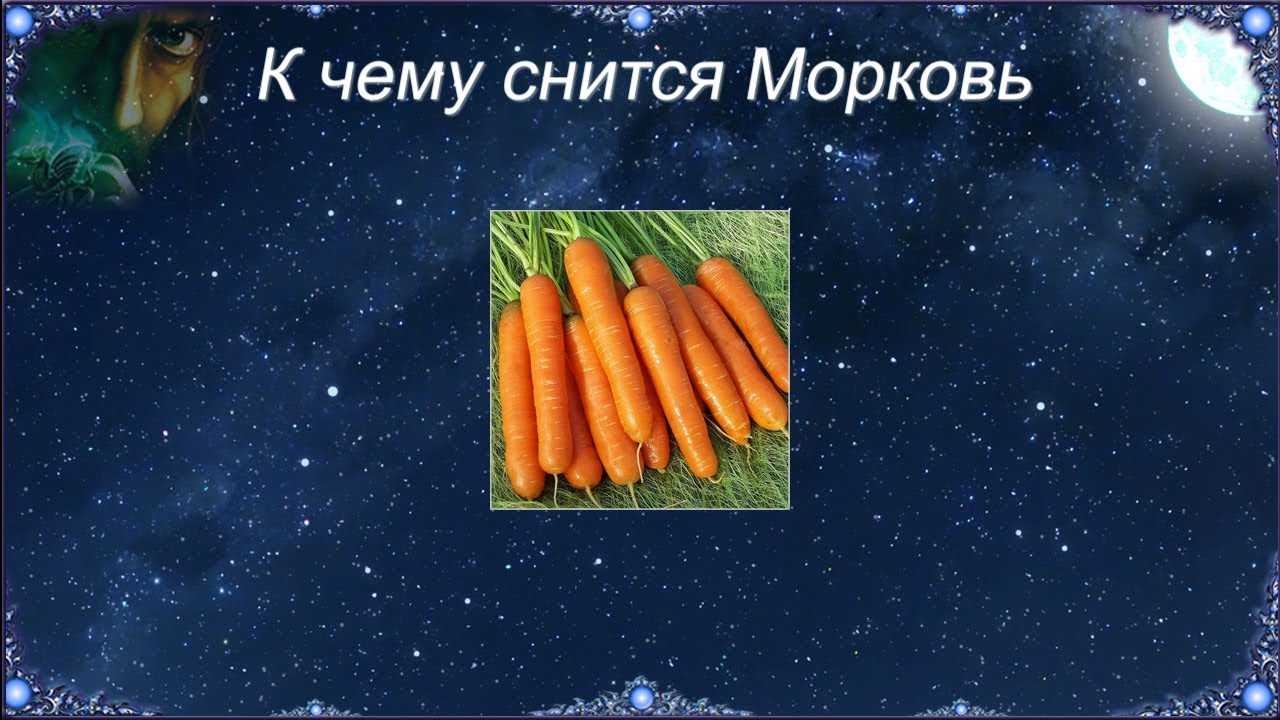 К чему снится картошка женщине: крупная, в мешке, в земле, сырая, копать