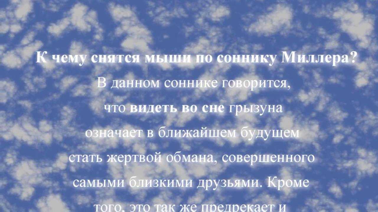 К чему снятся дохлые мыши мужчинам и женщинам: толкования ванги, исламского и других сонников