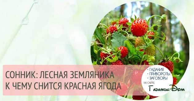 К чему снится земляника? - сонник земляника во сне