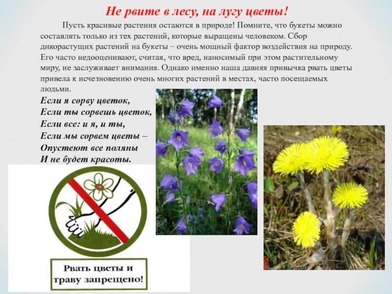 К чему снится сломанная рука 💪 — топ 50 толкований сна ❗ по сонникам: что означает для мужчины или женщины сломать правую ручку либо увидеть, как её сломал другой
