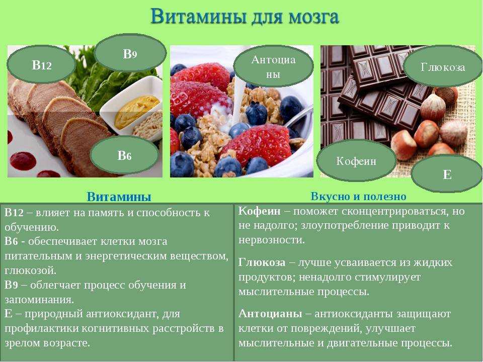 Какие продукты полезны для мозга и памяти: топ-20