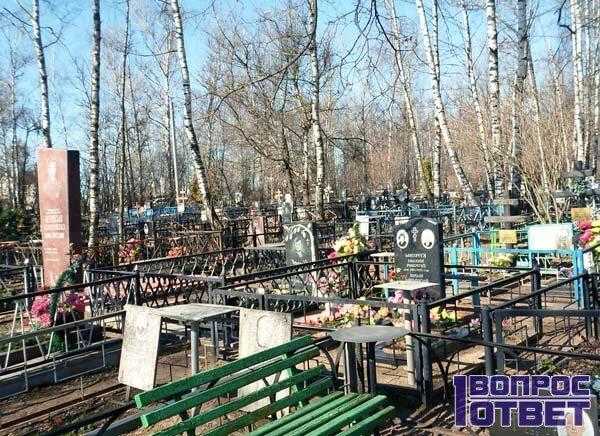 Сонник могила | гороскопы 365