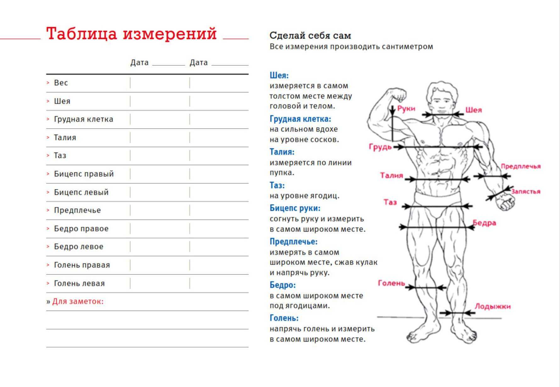 Правильно делаем замеры тела во время похудения | medisra.ru