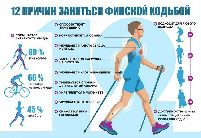 Министеппер – компактный и доступный тренажер для дома