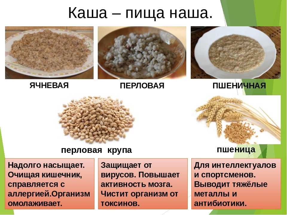 Перловая крупа: польза и вред, влияние на здоровье, рецепты, советы