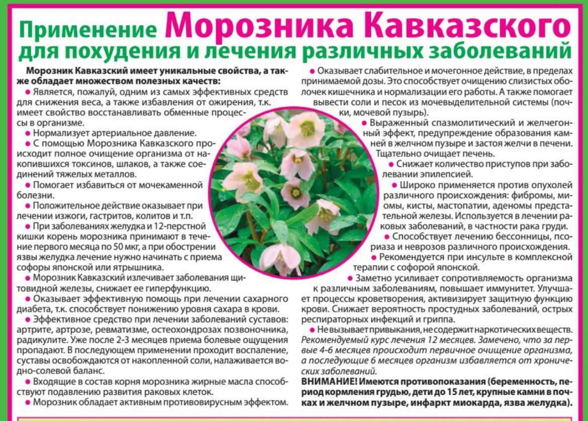 Внешне результат применения проявляется в снижении веса, улучшению внешнего вида кожных покровов Исчезают прыщи, волосы становятся лучше