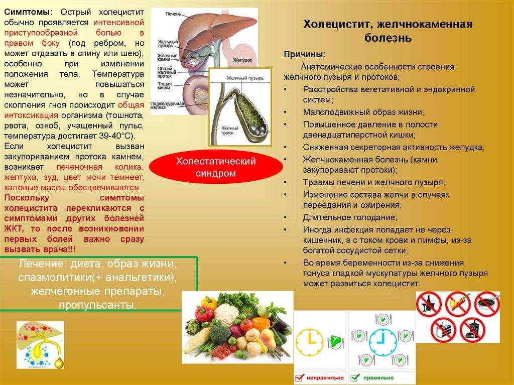 Очищающая диета иоганна шрота: уходит до 20 кг за 2 месяца