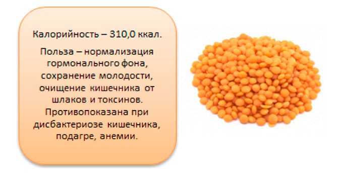 Чем полезна чечевица для организма и как ее готовить? 10 рецептов