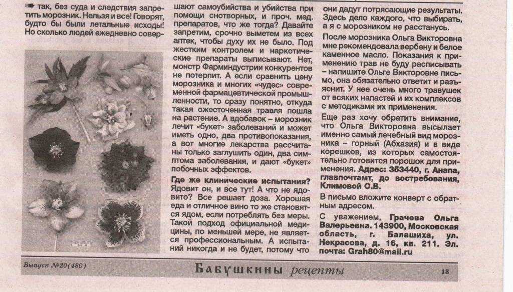 Трава морозник кавказский для похудения: как принимать, отзывы - похудейкина