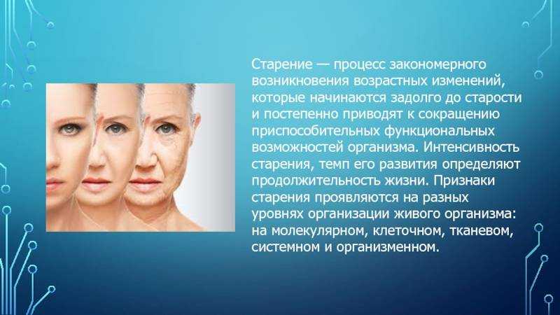 10 продуктов, замедляющих старение: советы и рецепты - solo mag