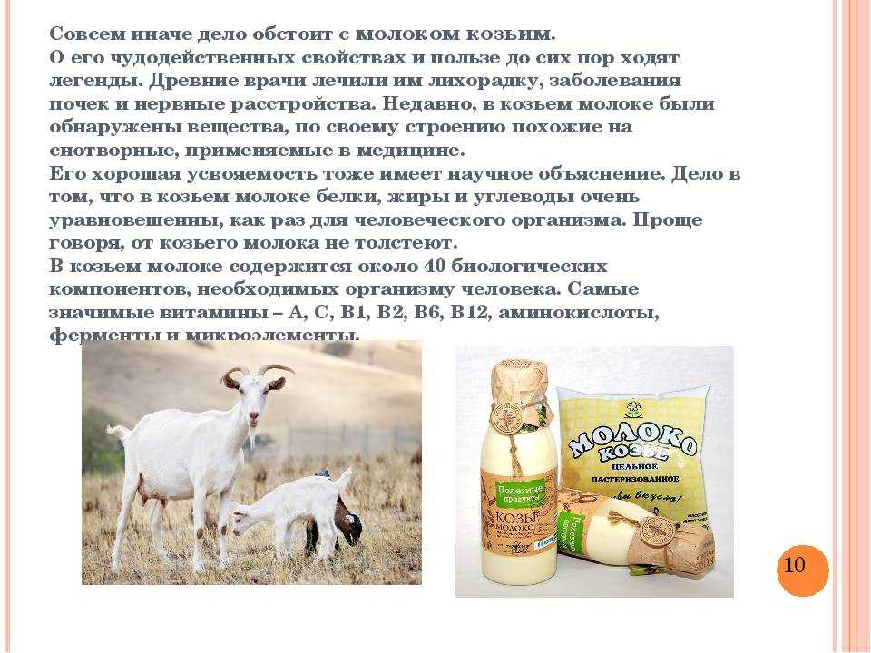 С какого возраста и как часто можно давать ребёнку козье молоко?