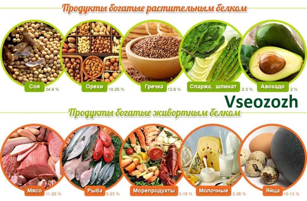 Блог от иоанныбелковые продукты — список еды с высоким содержанием животных и растительных протеинов
белковые продукты — список еды с высоким содержанием животных и растительных протеинов