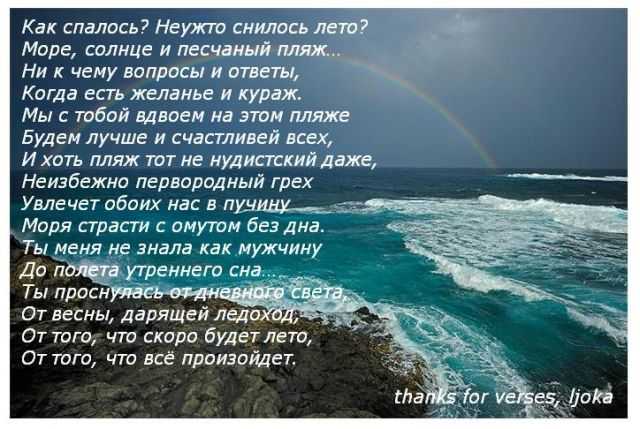 Сонник касатка плавающая в море