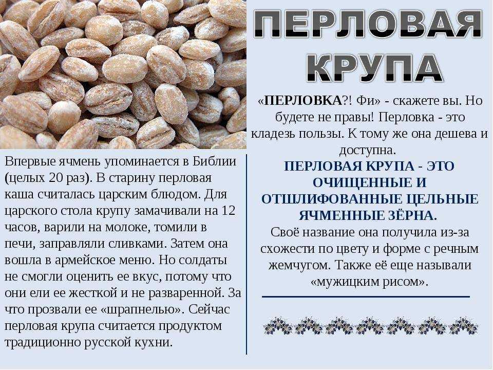 Перловая крупа: польза, вред, калорийность | food and health