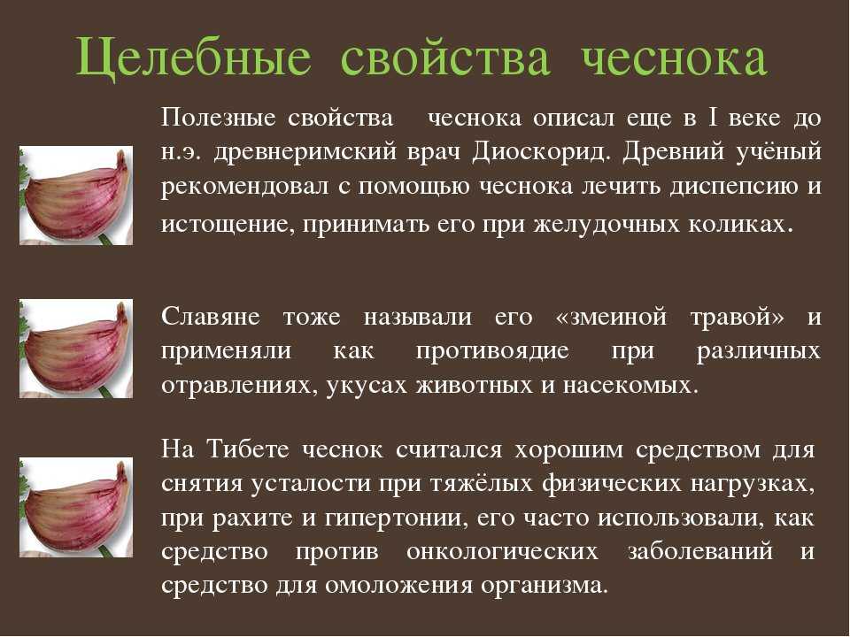 Что будет, если есть чеснок каждый день: достаточно одного зубчика: новости, чеснок, польза, факты, овощи, красота и здоровье