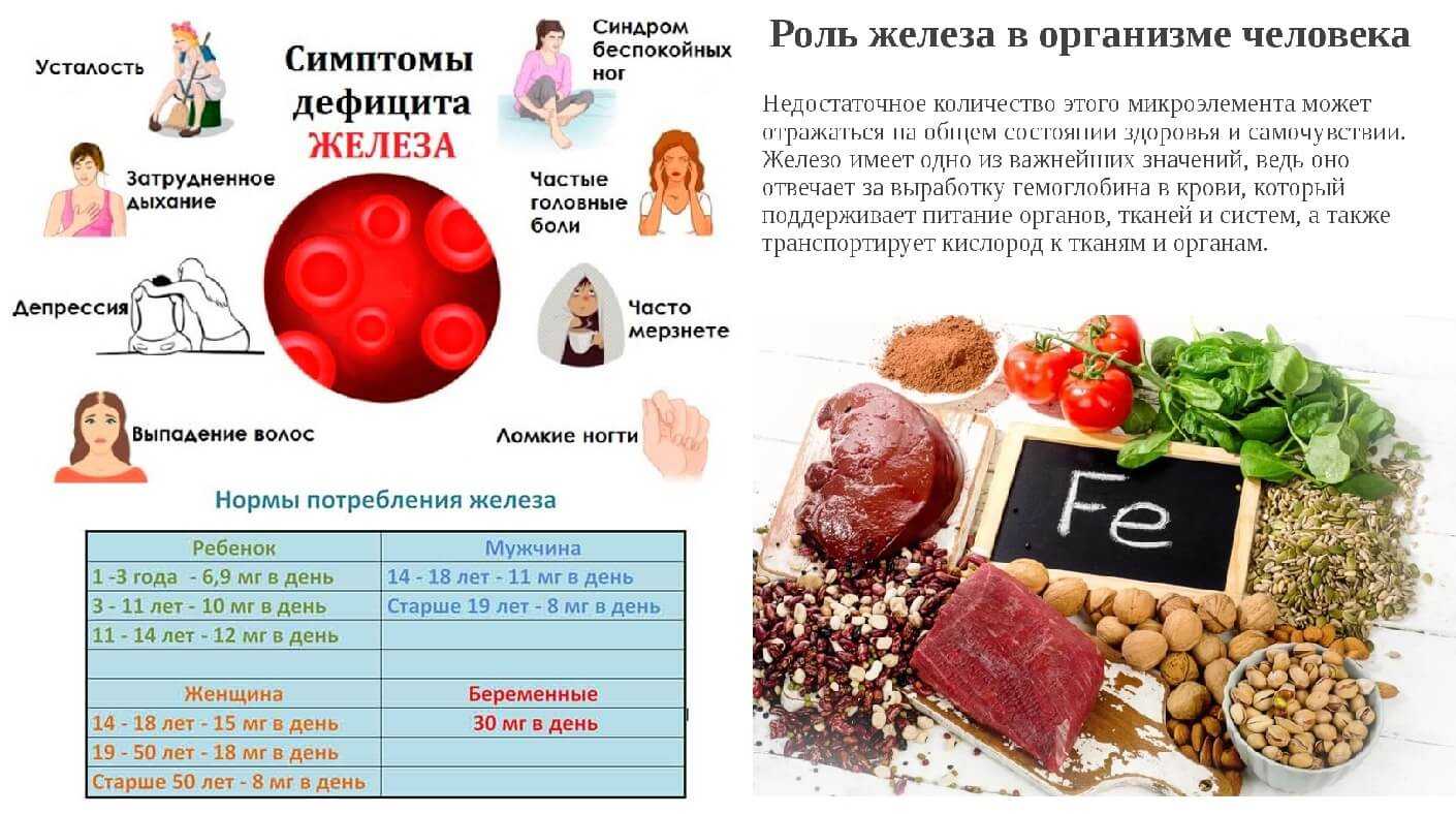 10 продуктов, в которых содержится много железа