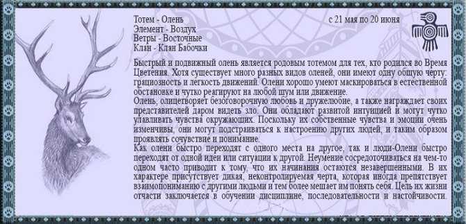 Существуют ли оборотни и как они выглядят