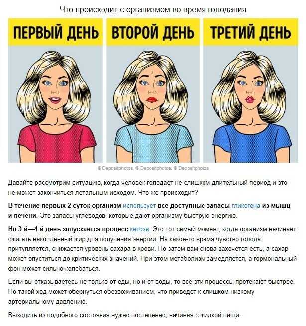 Полезно ли есть несколько раз в день небольшими порциями?
