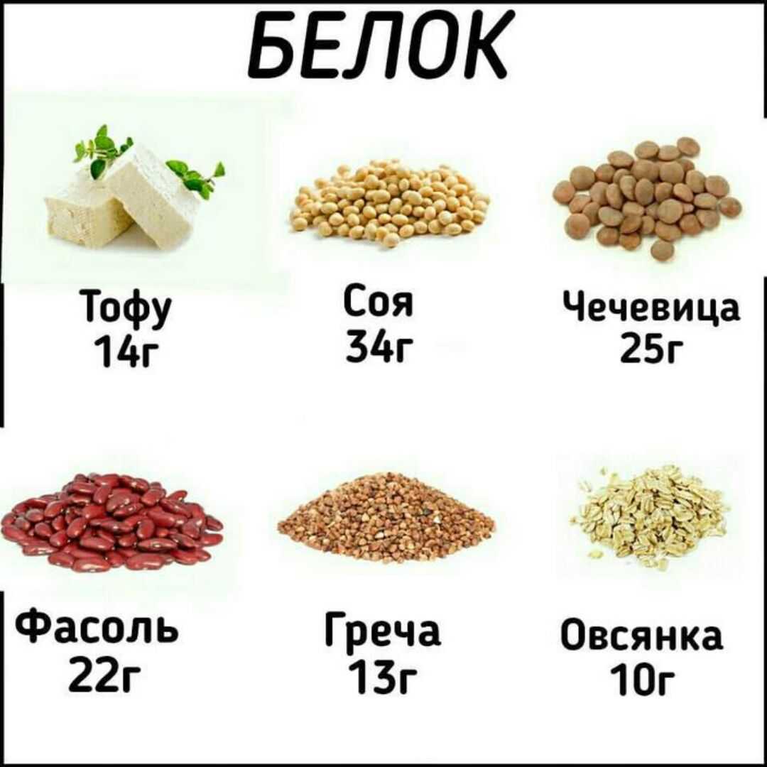 Чечевица
