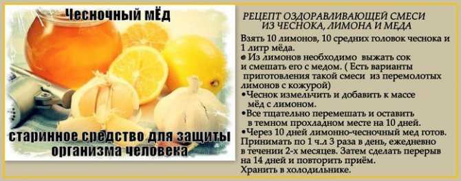 Полезные свойства воды с лимоном: 7 рецептов для похудения