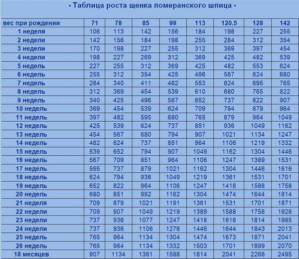 Екатерина шпица: биография, личная жизнь, семья, муж, дети — фото