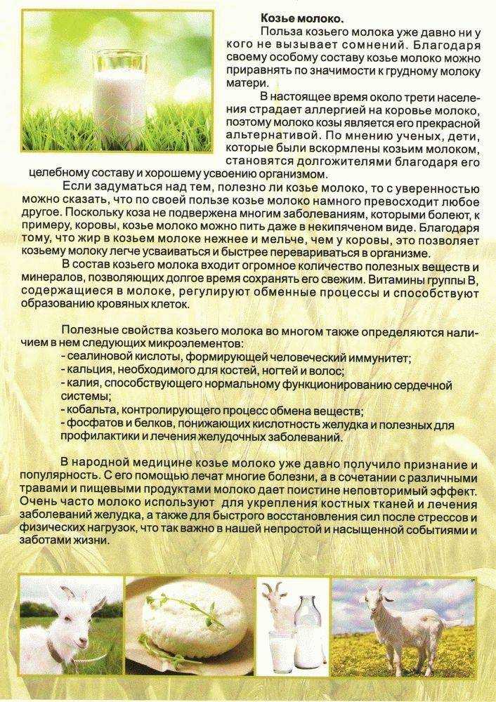 Сонник: много коз, мертвые козы, черная коза,гладить козу. толкование сна коза