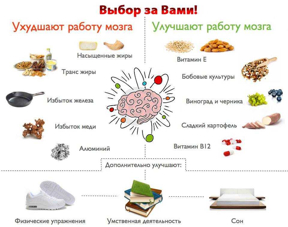 100 продуктов для мозга: составляем рацион для продуктивной учёбы