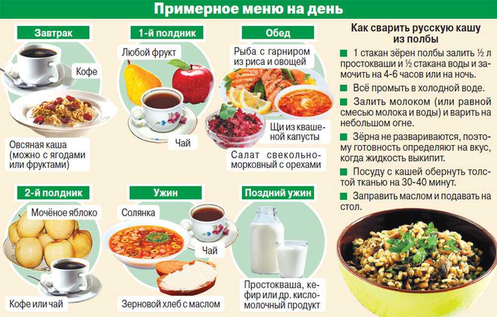 Правильный режим питания: сколько раз в день нужно есть?