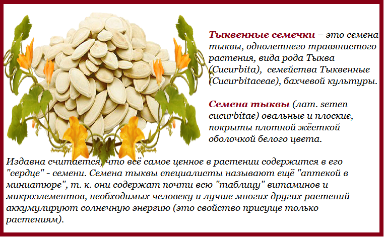 Семена тыквы - суперфуд красоты и здоровья. польза и вред